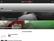 Tablet Screenshot of domatessuyu.com